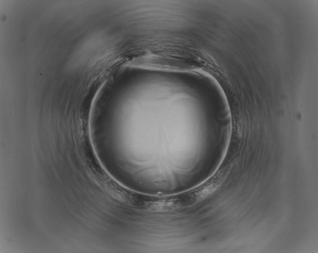 X0000073700366200608171119