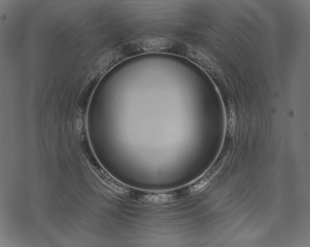 X0000073700367200608171119