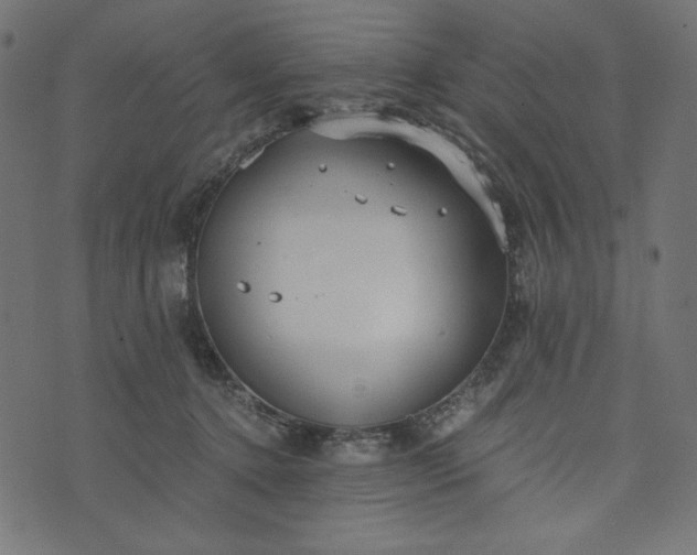 X0000073700368200608171119