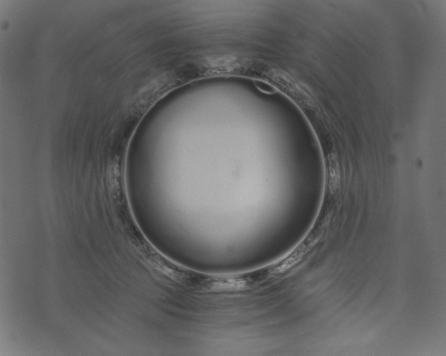 X0000073700369200608171119