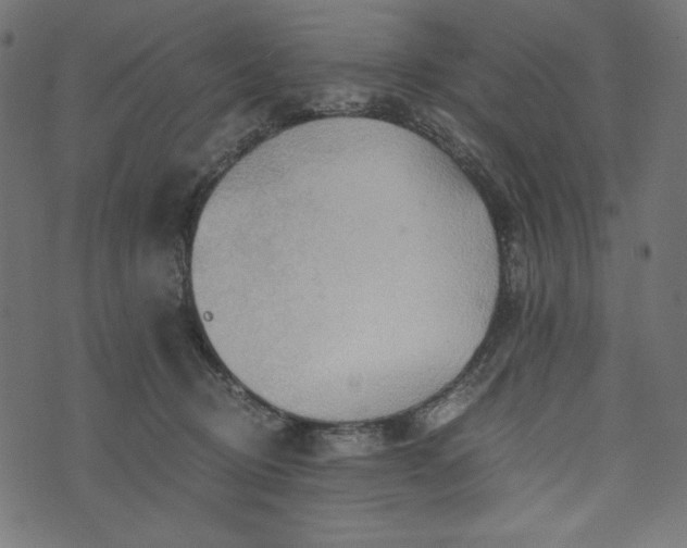 X0000073700370200608171119