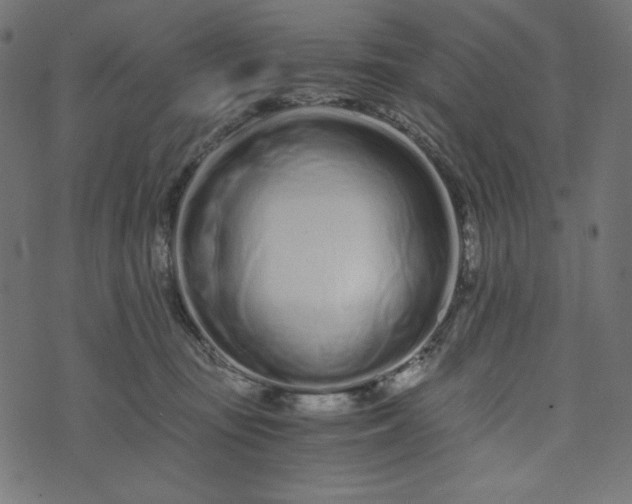 X0000073700371200608171119