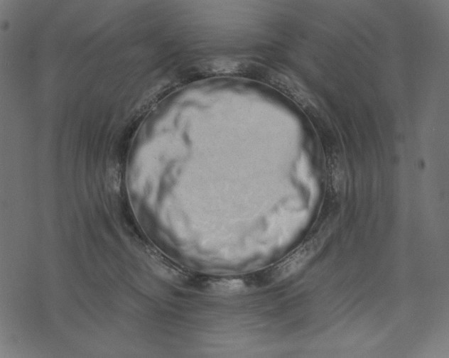 X0000073700374200608171119