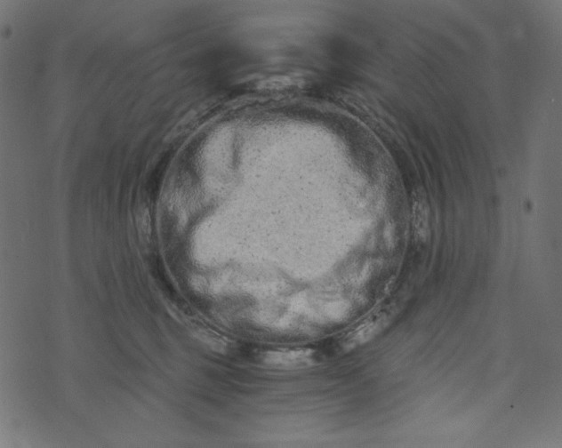 X0000073700375200608171119