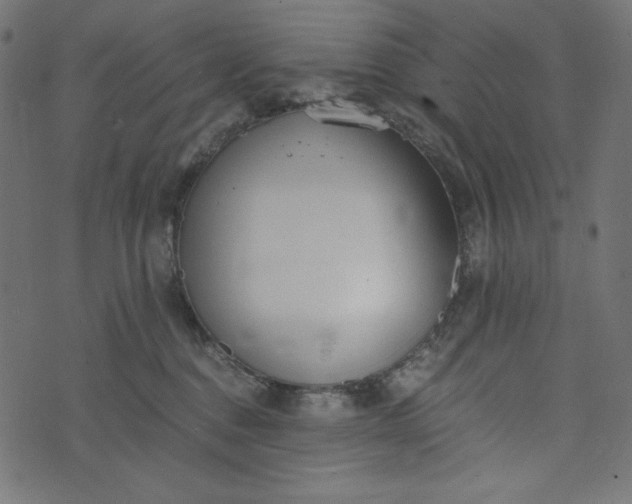 X0000073700376200608171119