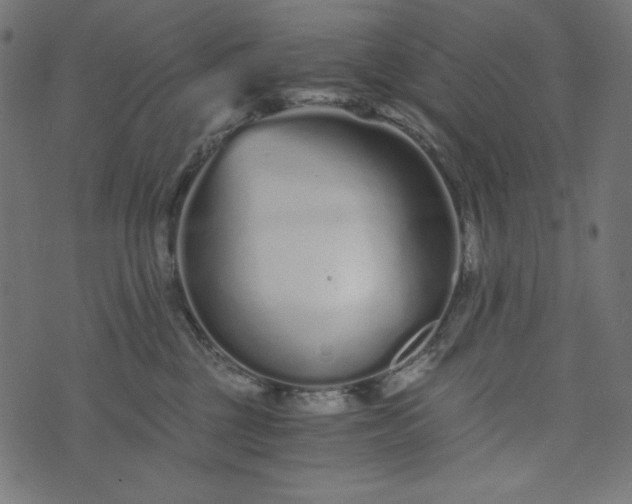 X0000073700377200608171119