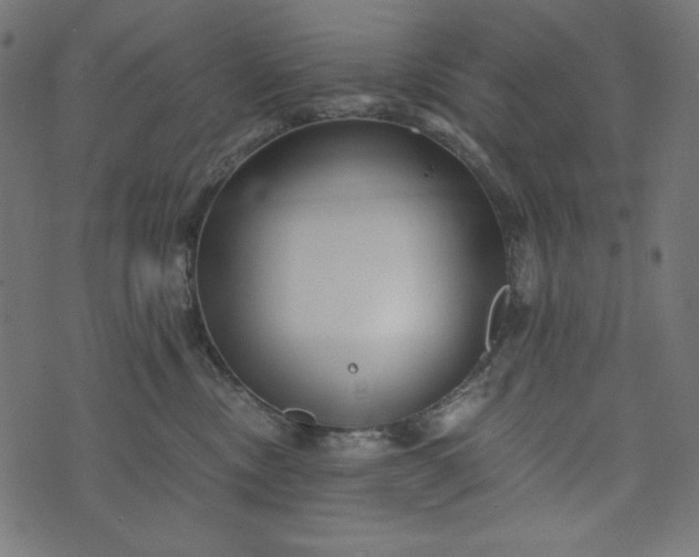 X0000073700378200608171119