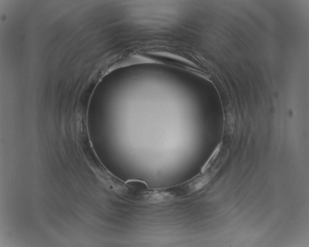 X0000073700379200608171119