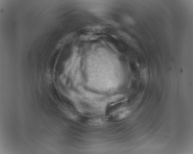 X0000073700381200608171119