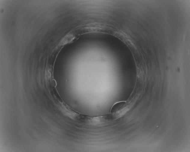 X0000073700382200608171119