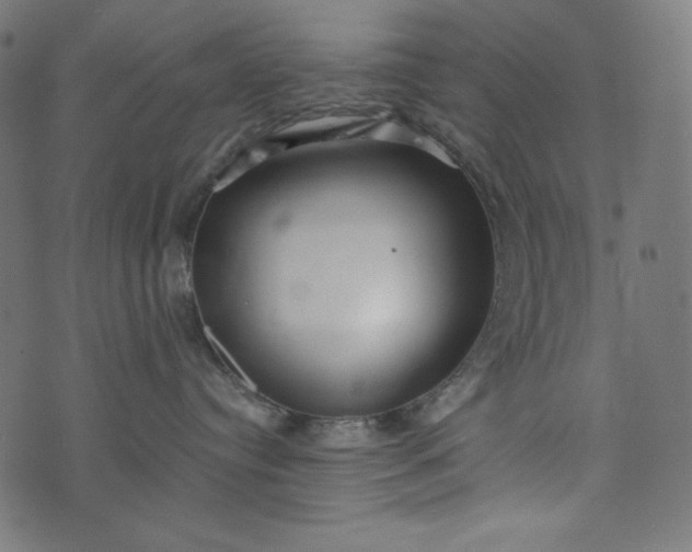 X0000073700384200608171119