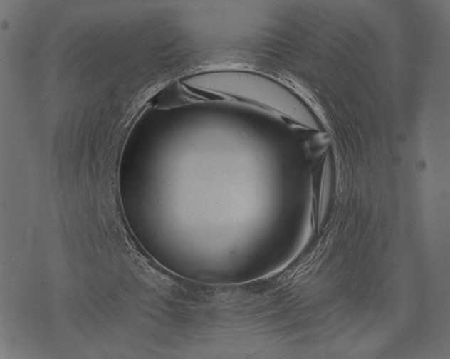 X0000073700385200608171118