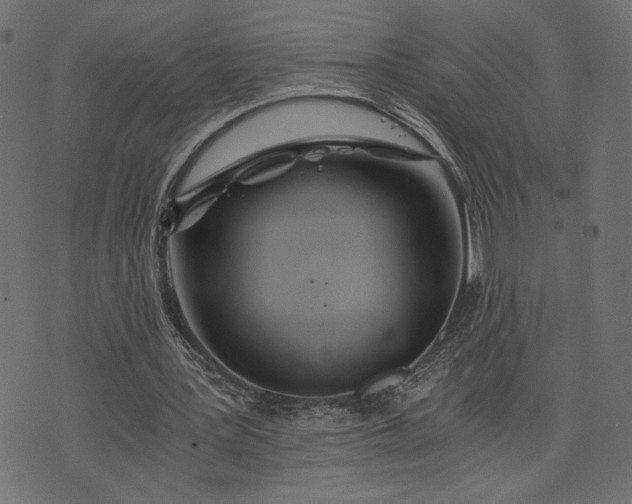 X0000073700387200608171118