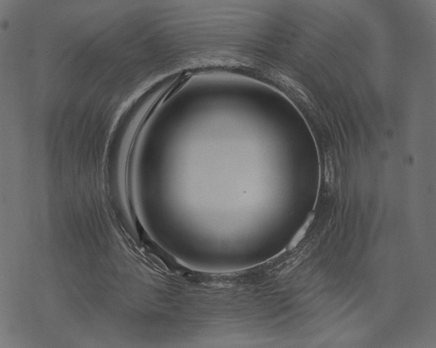 X0000073700388200608171118