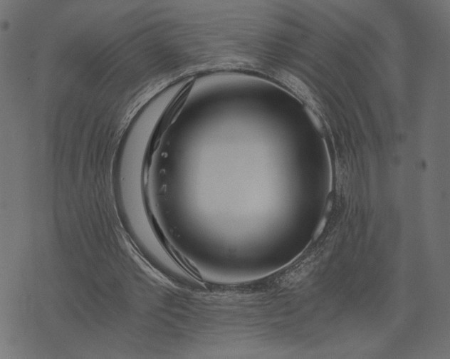 X0000073700389200608171118