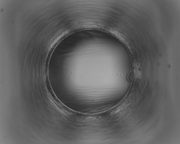 X0000073700390200608171118