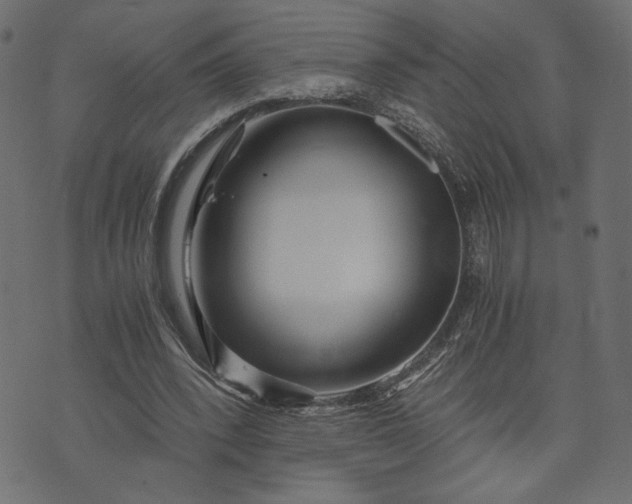 X0000073700392200608171118