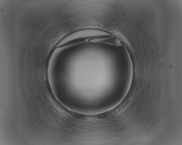 X0000073700393200608171118