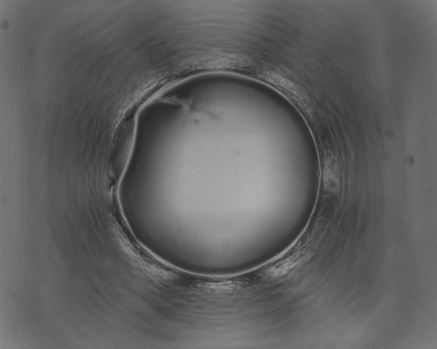 X0000073700394200608171118