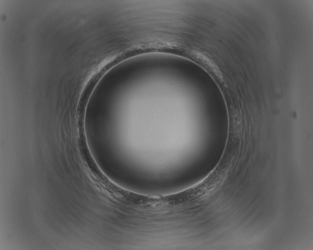 X0000073700395200608171118