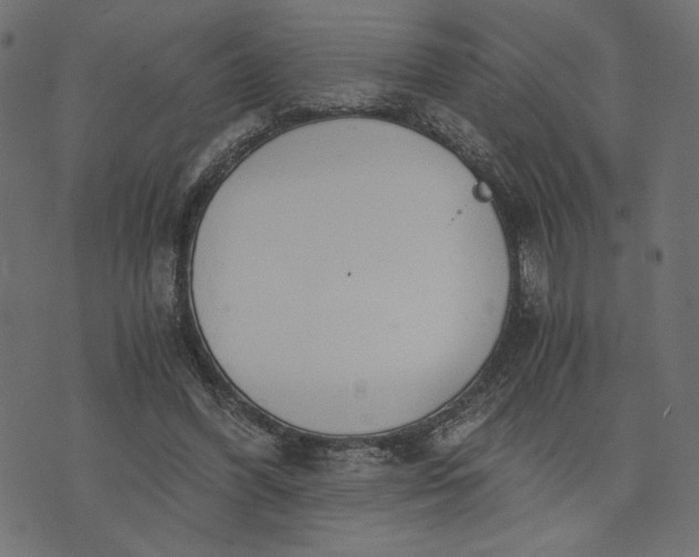 X0000073700396200608171118