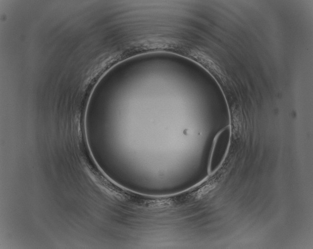 X0000073700398200608171118