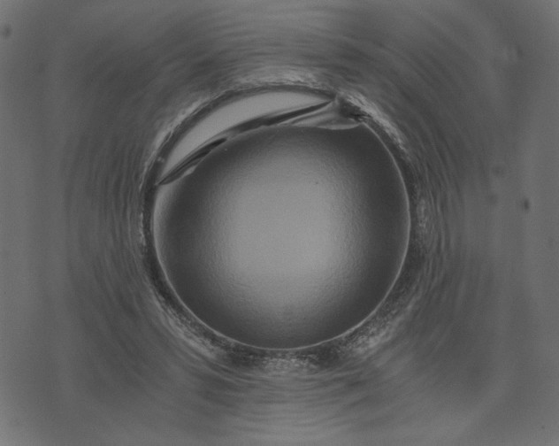 X0000073700399200608171118