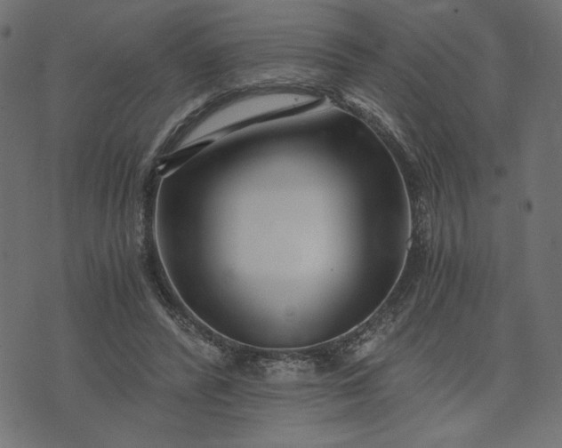 X0000073700400200608171118