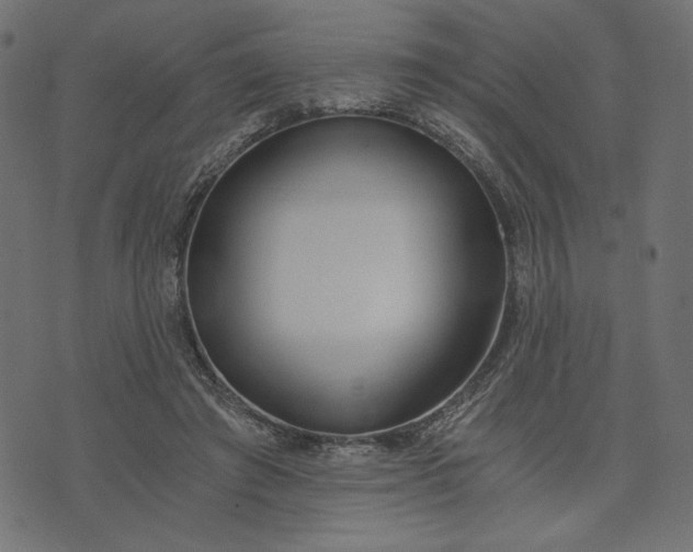 X0000073700401200608171118