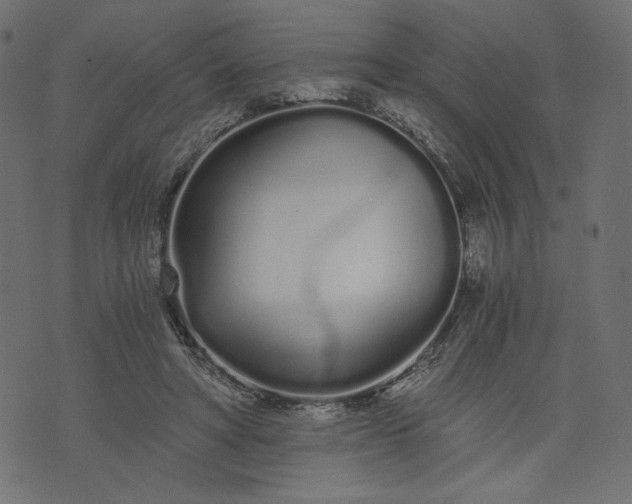 X0000073700402200608171118