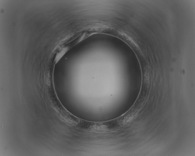 X0000073700403200608171118