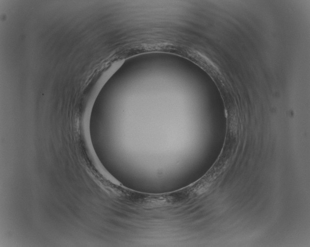 X0000073700405200608171118