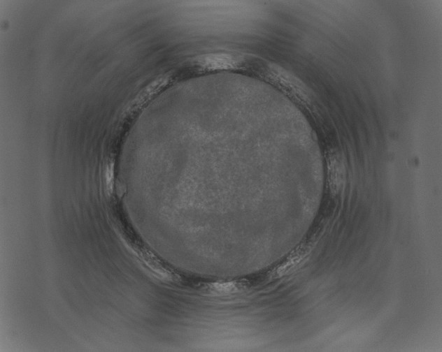 X0000073700406200608171118