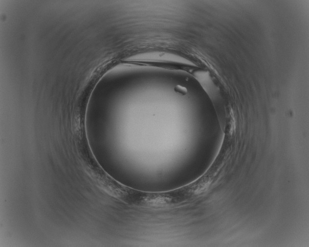 X0000073700407200608171118