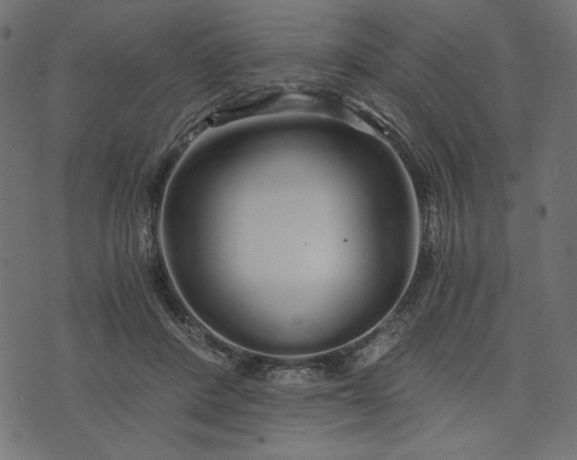 X0000073700408200608171118