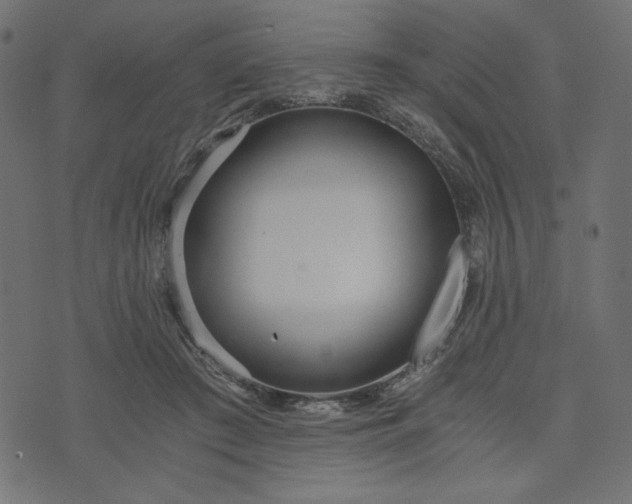 X0000073700409200608171118