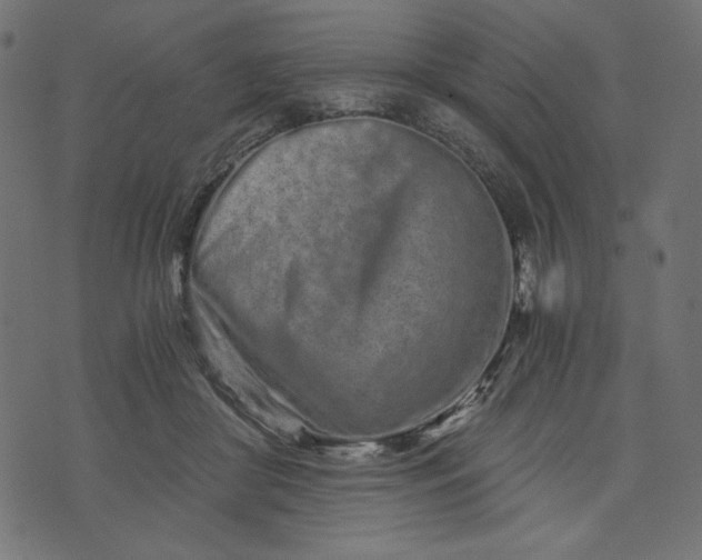 X0000073700410200608171118