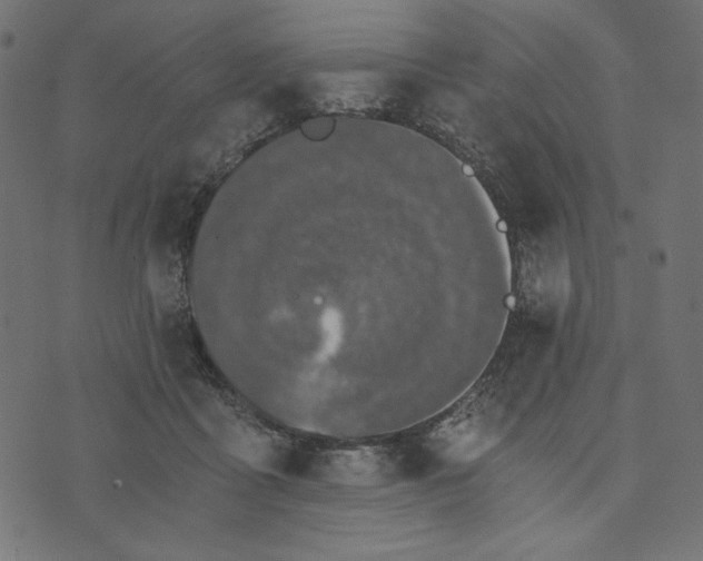 X0000073700411200608171118