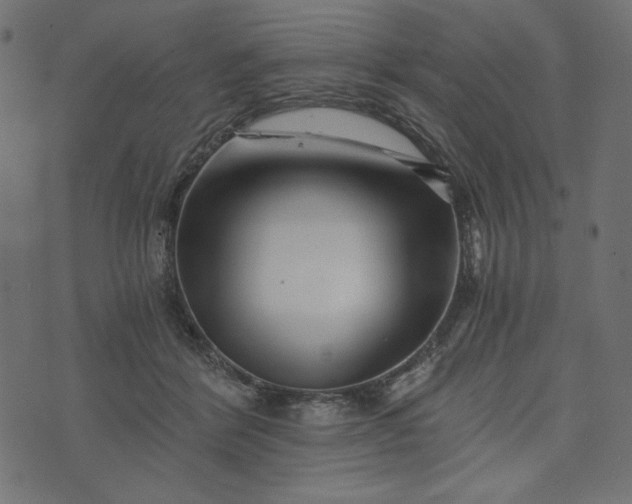 X0000073700412200608171118