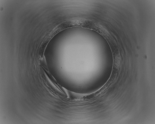 X0000073700413200608171118