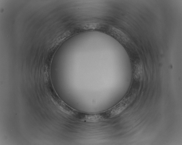 X0000073700414200608171118