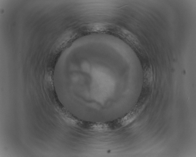 X0000073700415200608171118