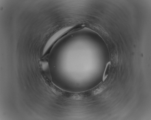 X0000073700416200608171118