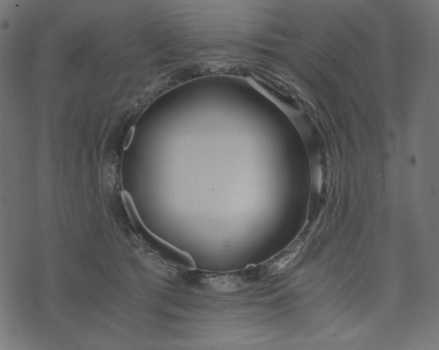 X0000073700417200608171118