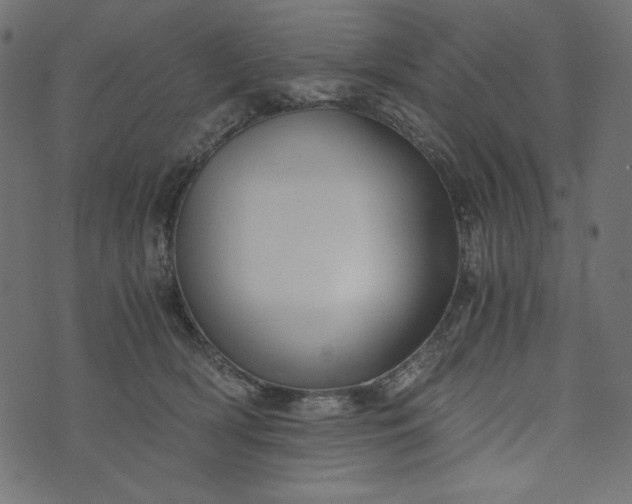 X0000073700418200608171118