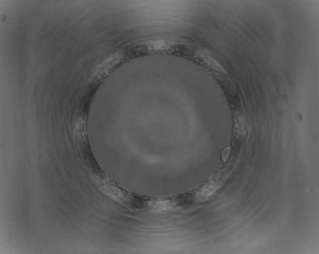 X0000073700419200608171118