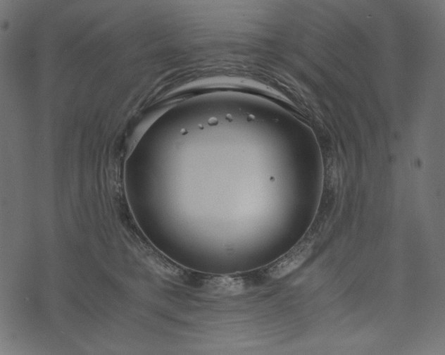 X0000073700421200608171118