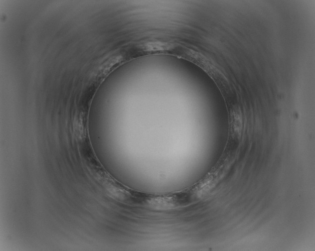 X0000073700422200608171118