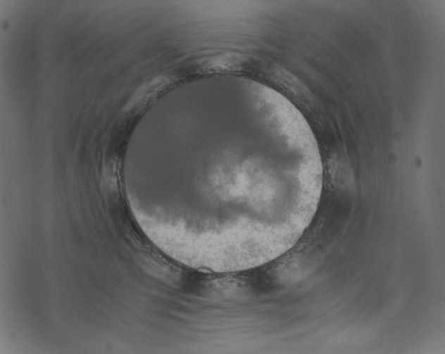 X0000073700423200608171118