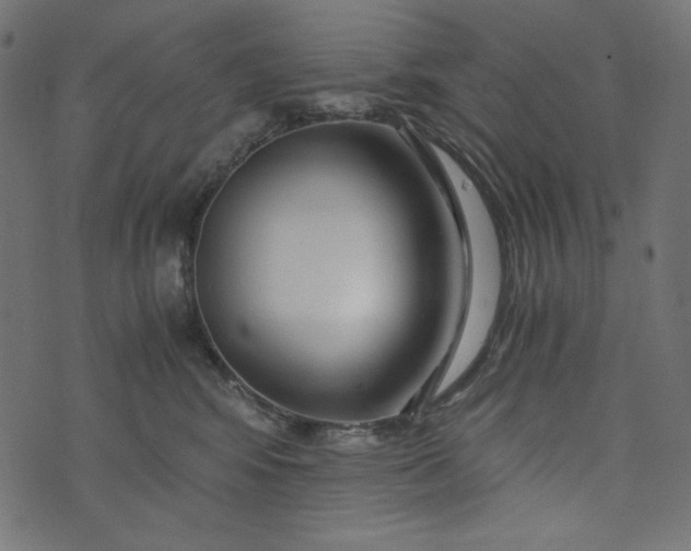 X0000073700424200608171118